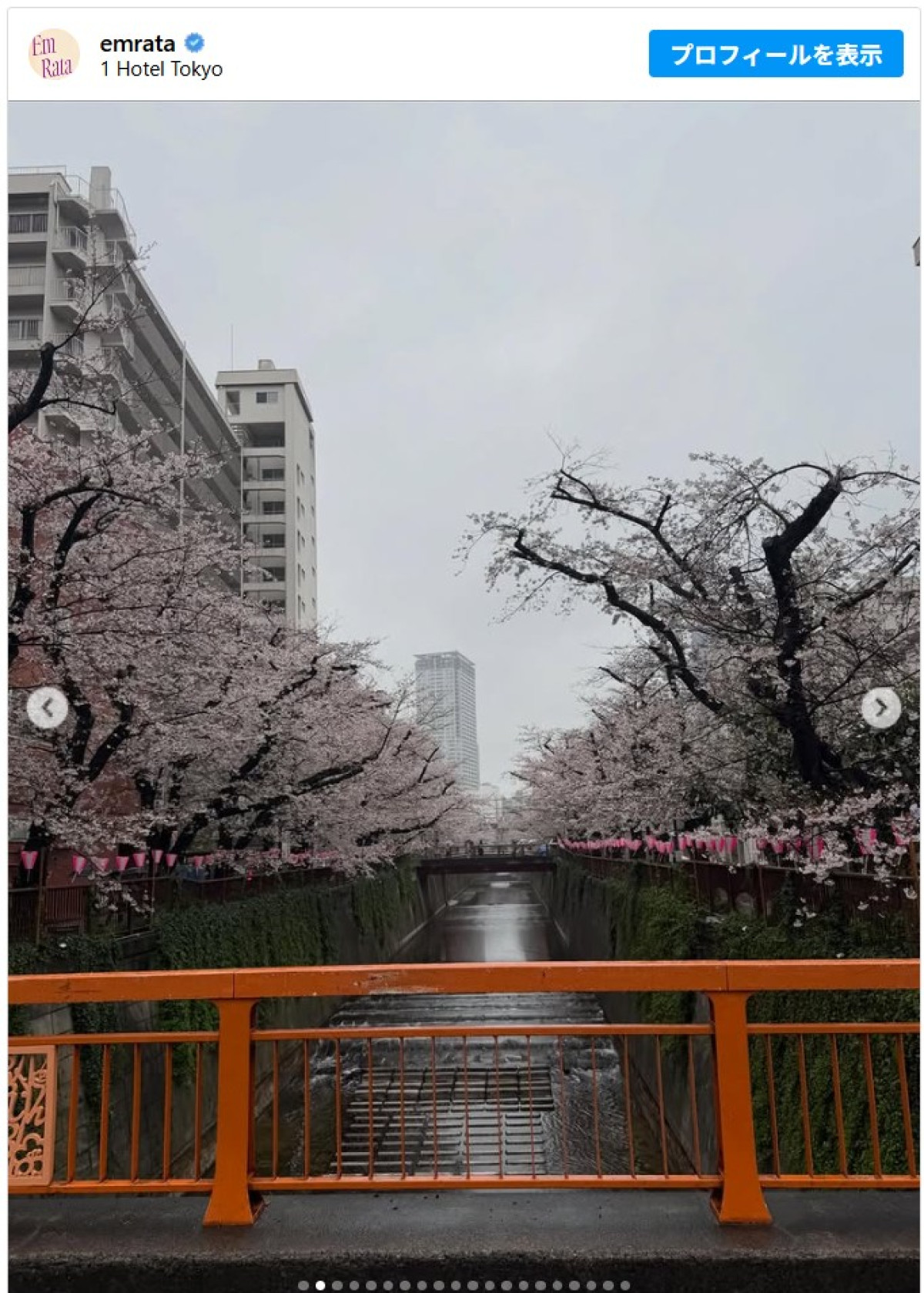 エミリー・ラタコウスキーが恋人と来日　桜並木やホテルでくつろぐショットを投稿