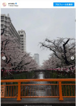 エミリー・ラタコウスキーが恋人ロマン・ガヴラス監督と来日　※「エミリー・ラタコウスキー」Instagram