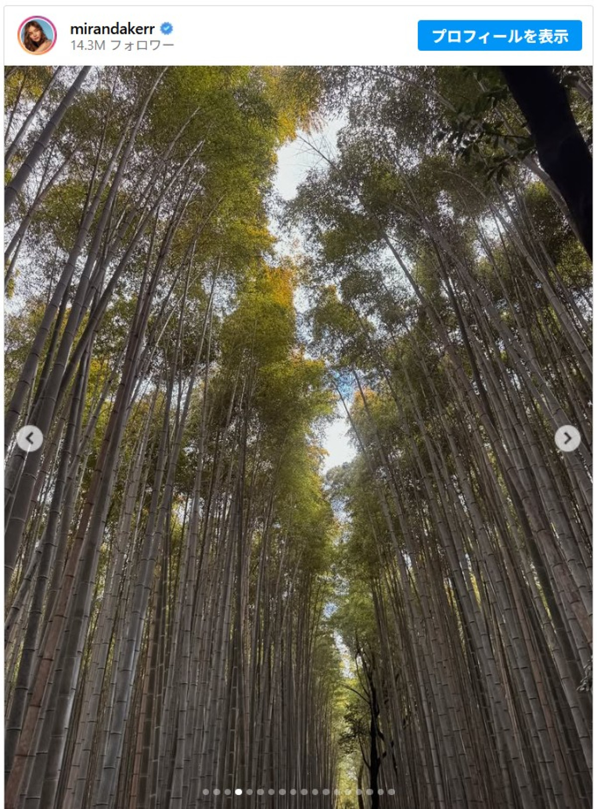 ミランダ・カーが来日！　京都のお茶室で夫とほっこり2ショット公開