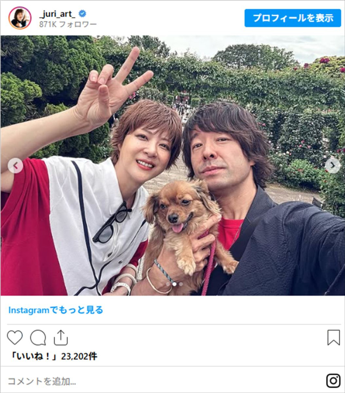 上野樹里インスタにひさびさ夫＆愛犬が登場「大好きな家族」「見る度に似てきます」
