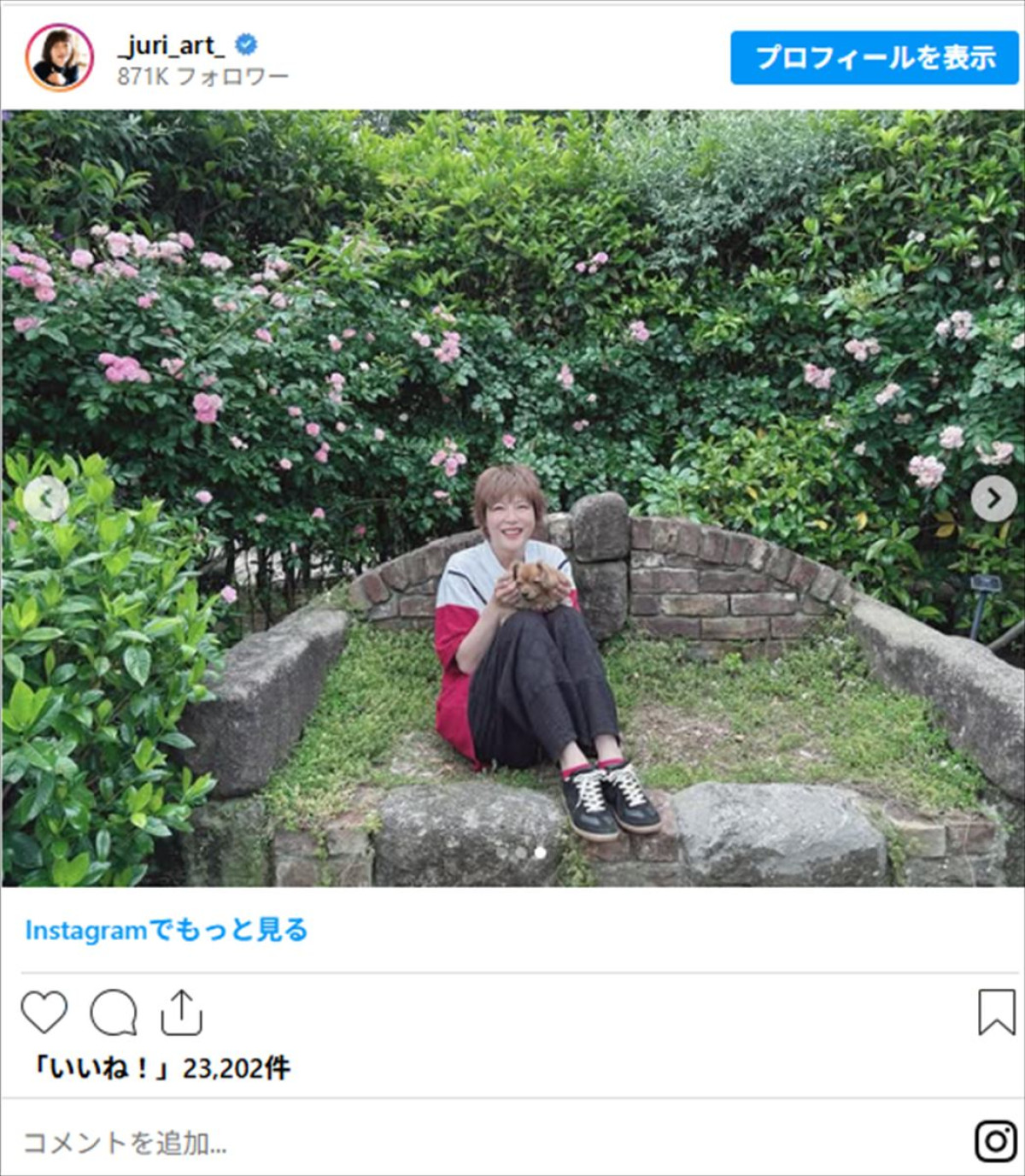 上野樹里インスタにひさびさ夫＆愛犬が登場「大好きな家族」「見る度に似てきます」