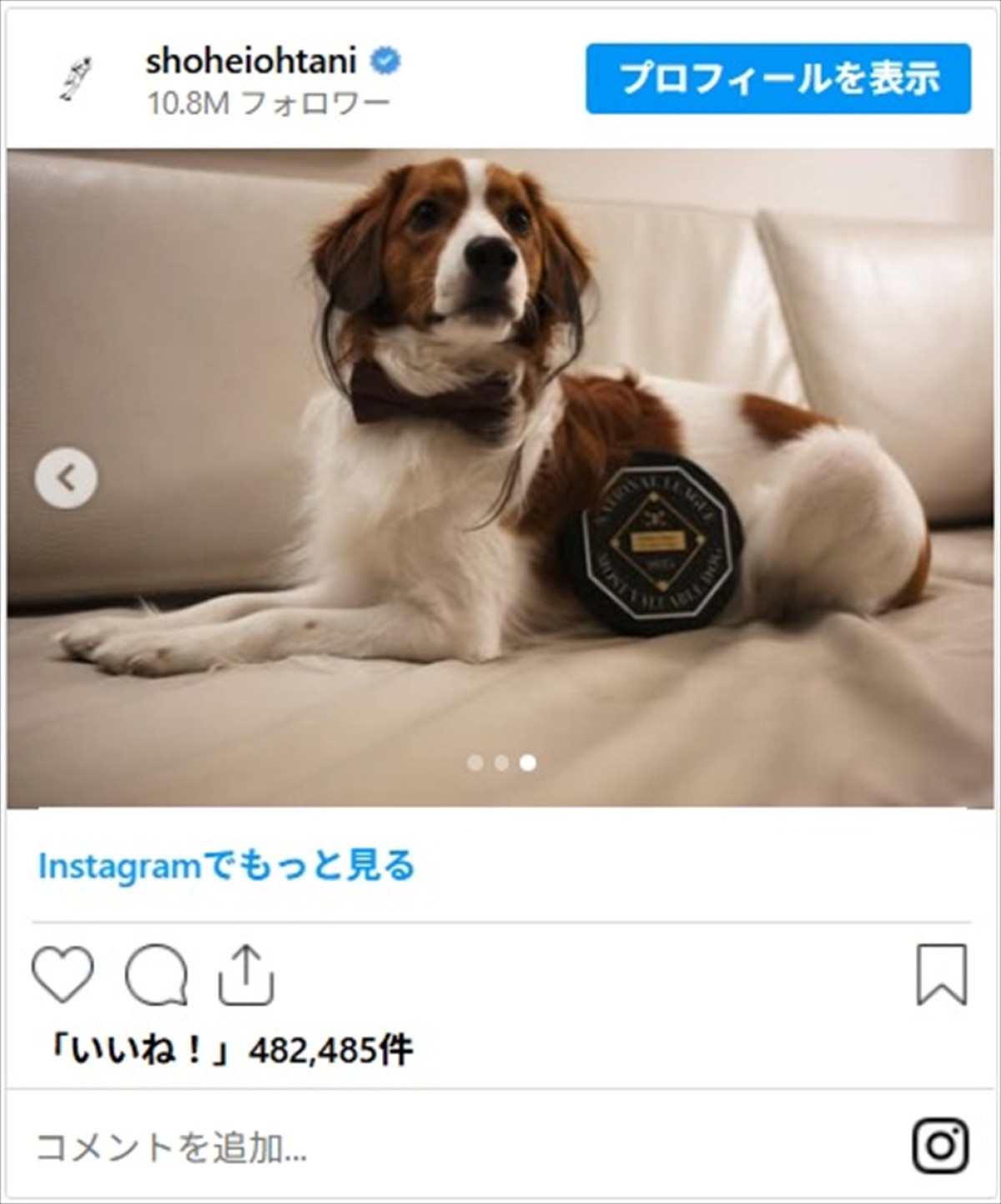 大谷翔平の相棒・デコピンにファンもメロメロ「大谷ファミリーのアイドル」「幸せな気分になれます」