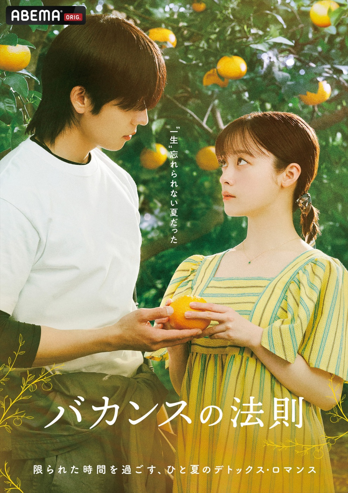 橋本環奈×チェ・ジョンヒョプ共演！　東村アキコ原作・脚本・監督ドラマ『バカンスの法則』7.27配信＆特報解禁