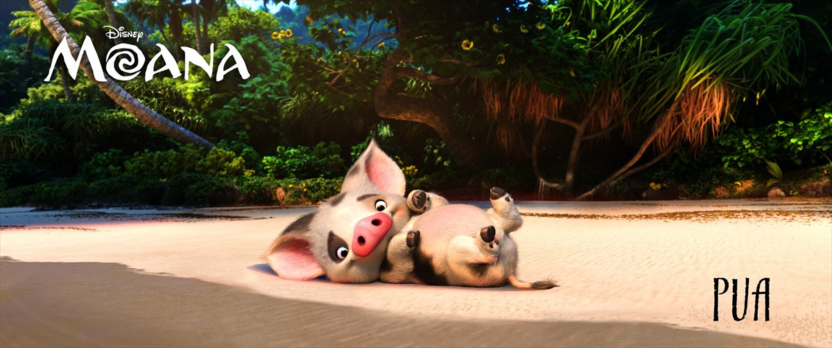 実写版「モアナ」公開記念！　アニメ版『モアナと伝説の海』7月24日放送決定