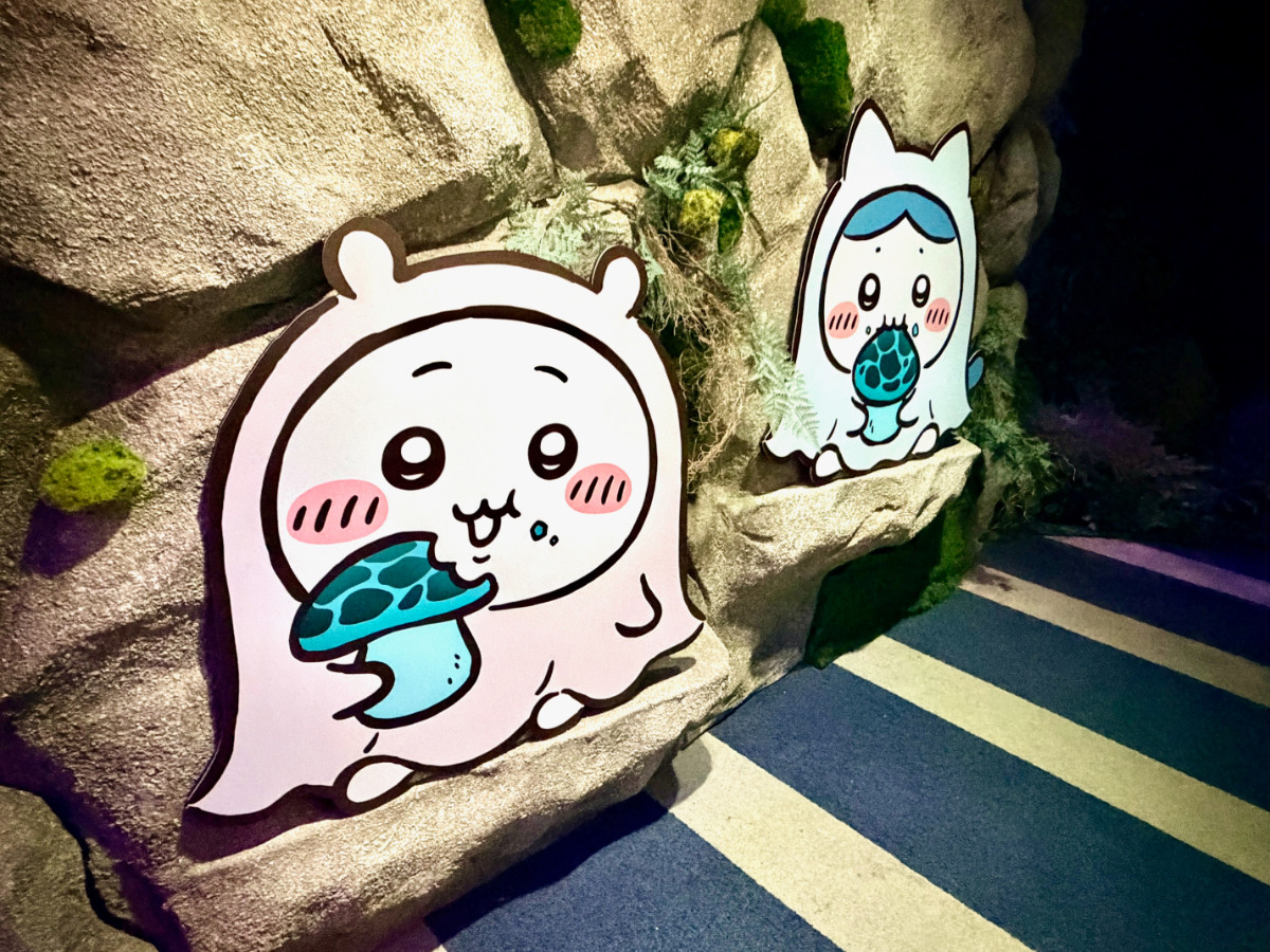 20260724_お台場ファンライジング