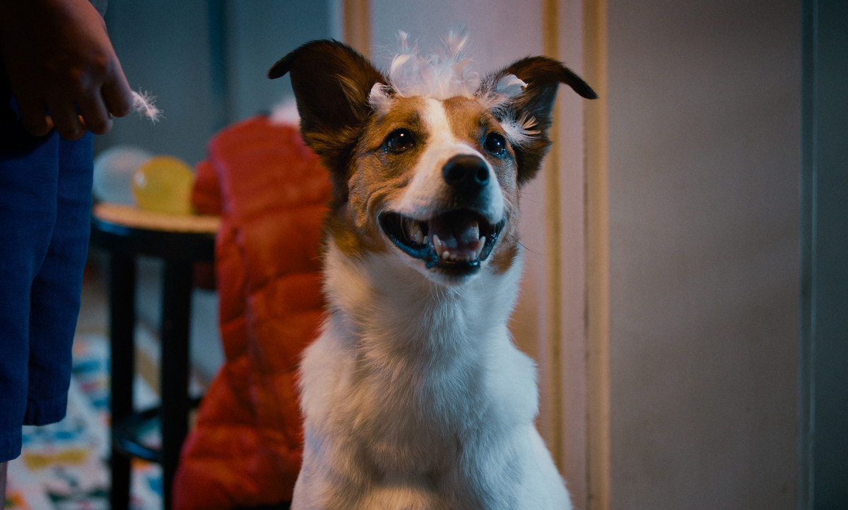 世界の映画祭・批評家を魅了したチュルヒャー兄弟「動物三部作」が10月30日公開　日本版メインビジュアル＆予告編も解禁