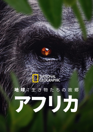 地球：生き物たちの故郷～アフリカ