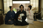 連続ドラマ『猫侍 ‐ビギニング‐』より