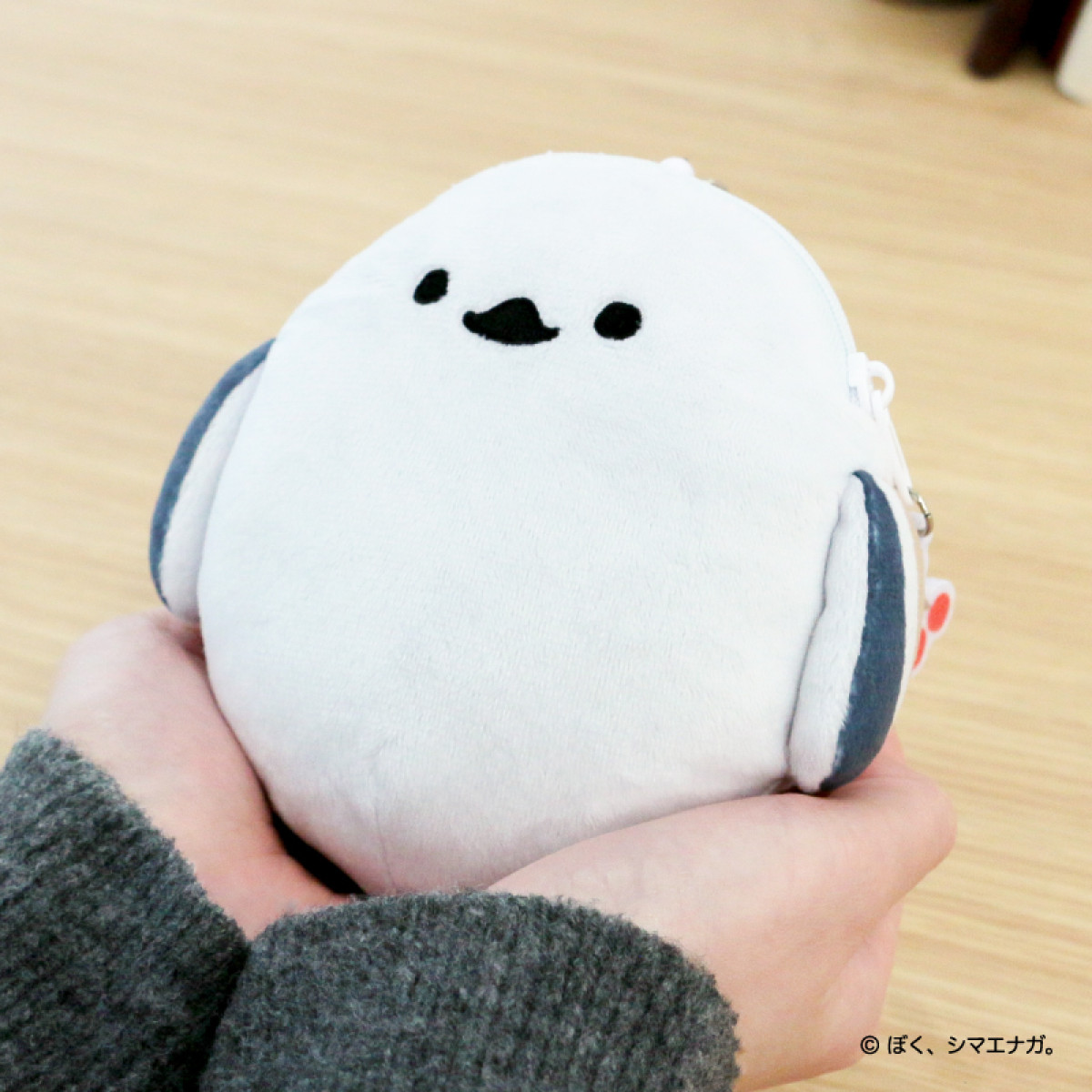 20260116 郵便局「ぼく、シマエナガ。」