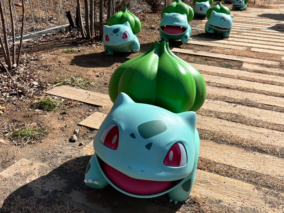 20260126 ポケパーク