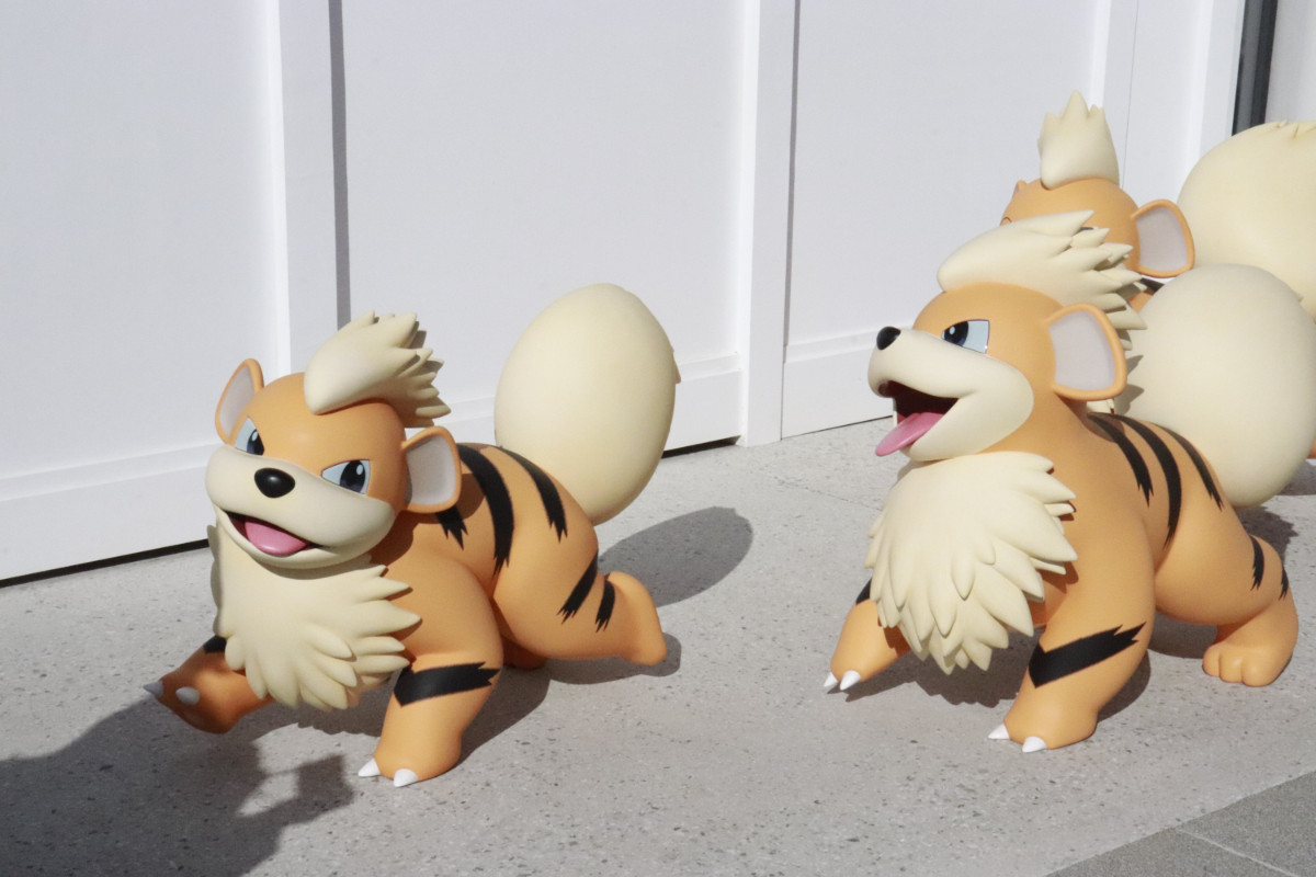 20260126 ポケパーク