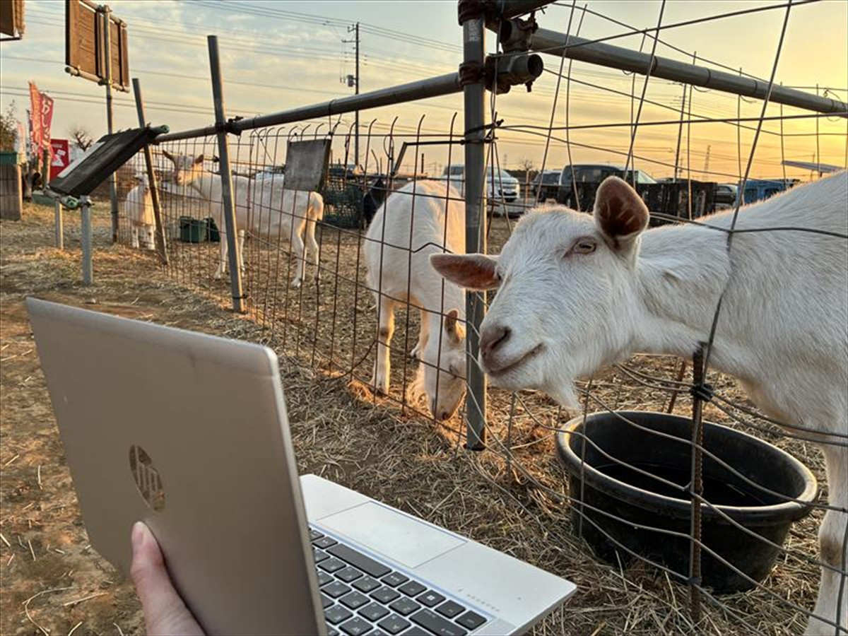 『ミッドサマー』に続く救いなきフォークホラー『FRÉWAKA／フレワカ』、狂夢ビジュアル4種＆本予告解禁