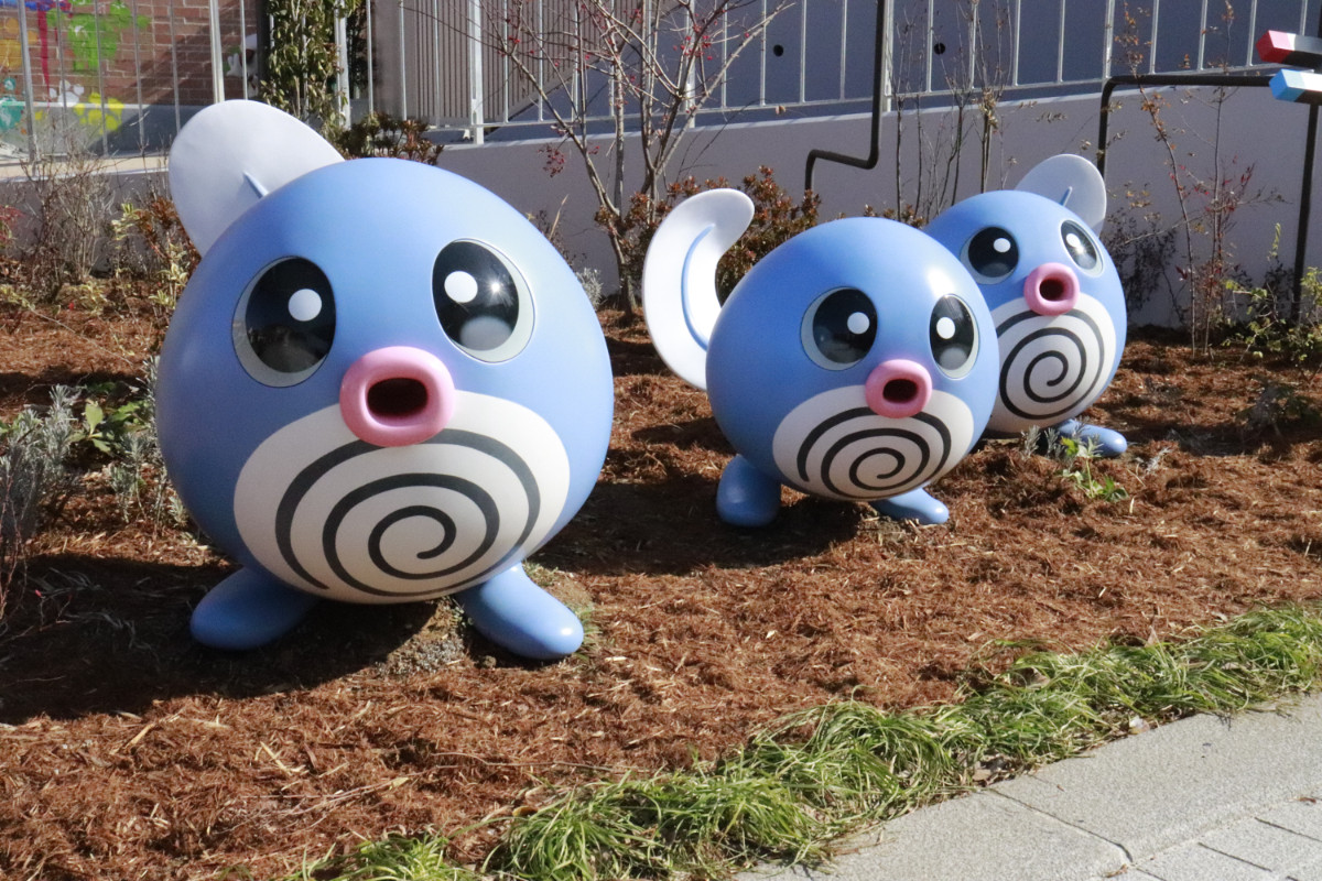 20260126 ポケパーク