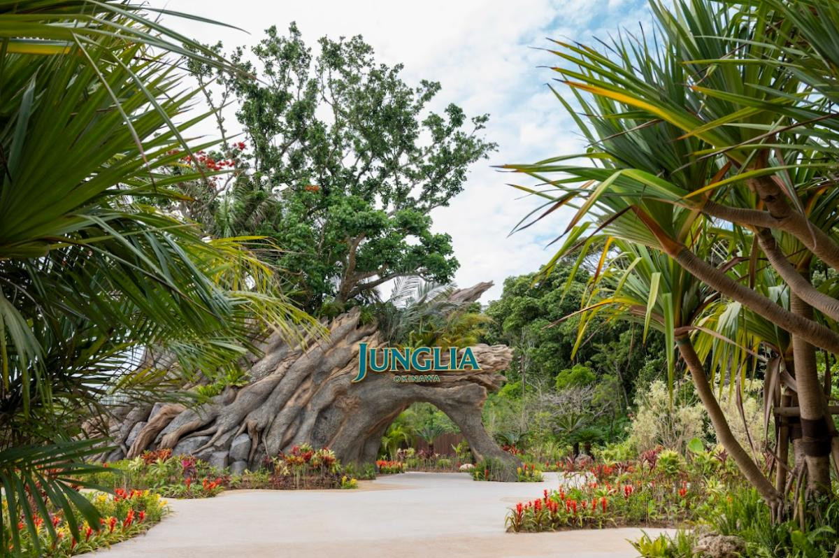 260120「グラビティ ドロップ」