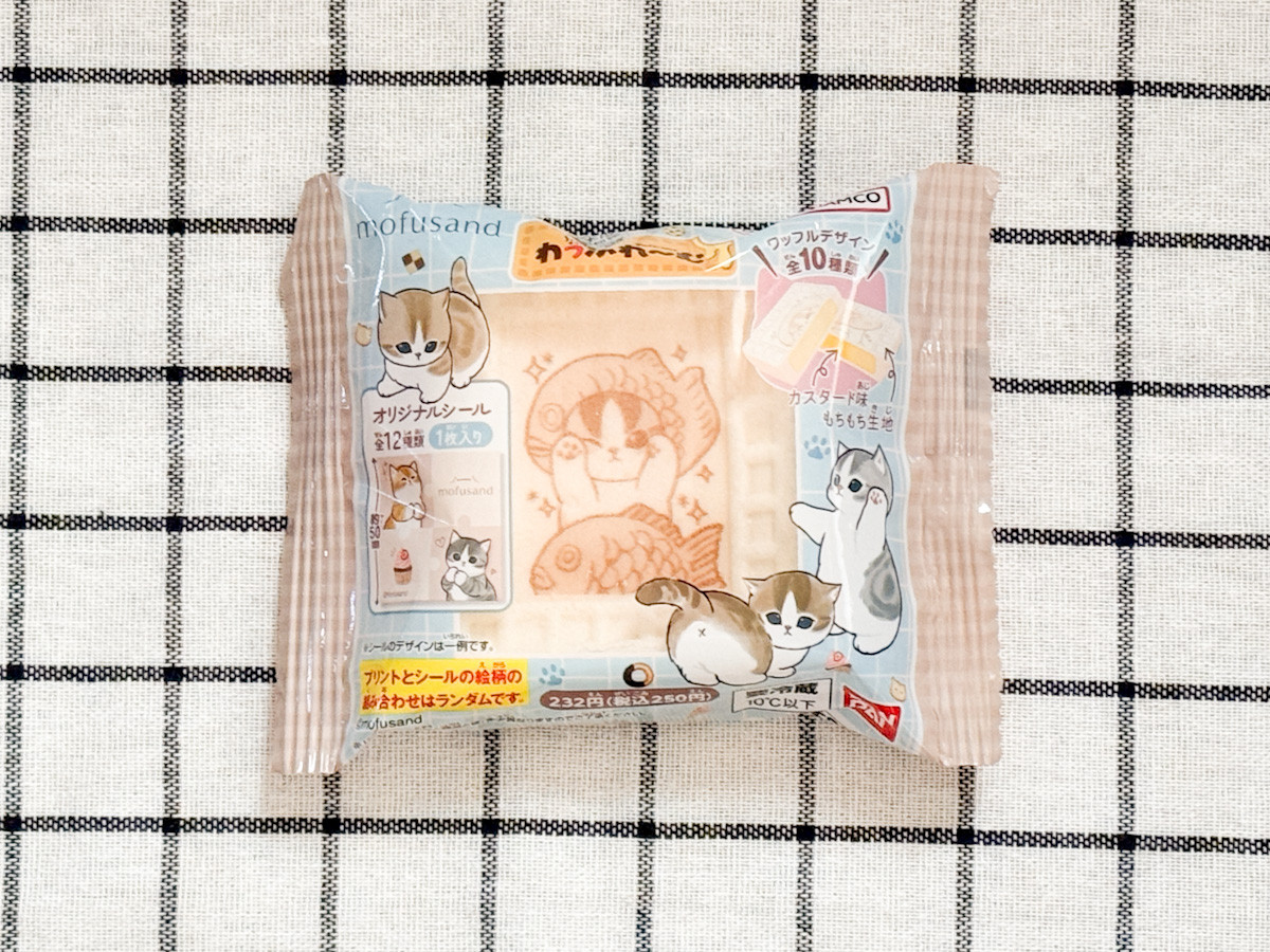 20260209 ファミリ～にゃ～ト大作戦！