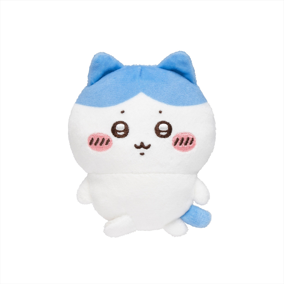 20260217_ハチワレだらけくじ