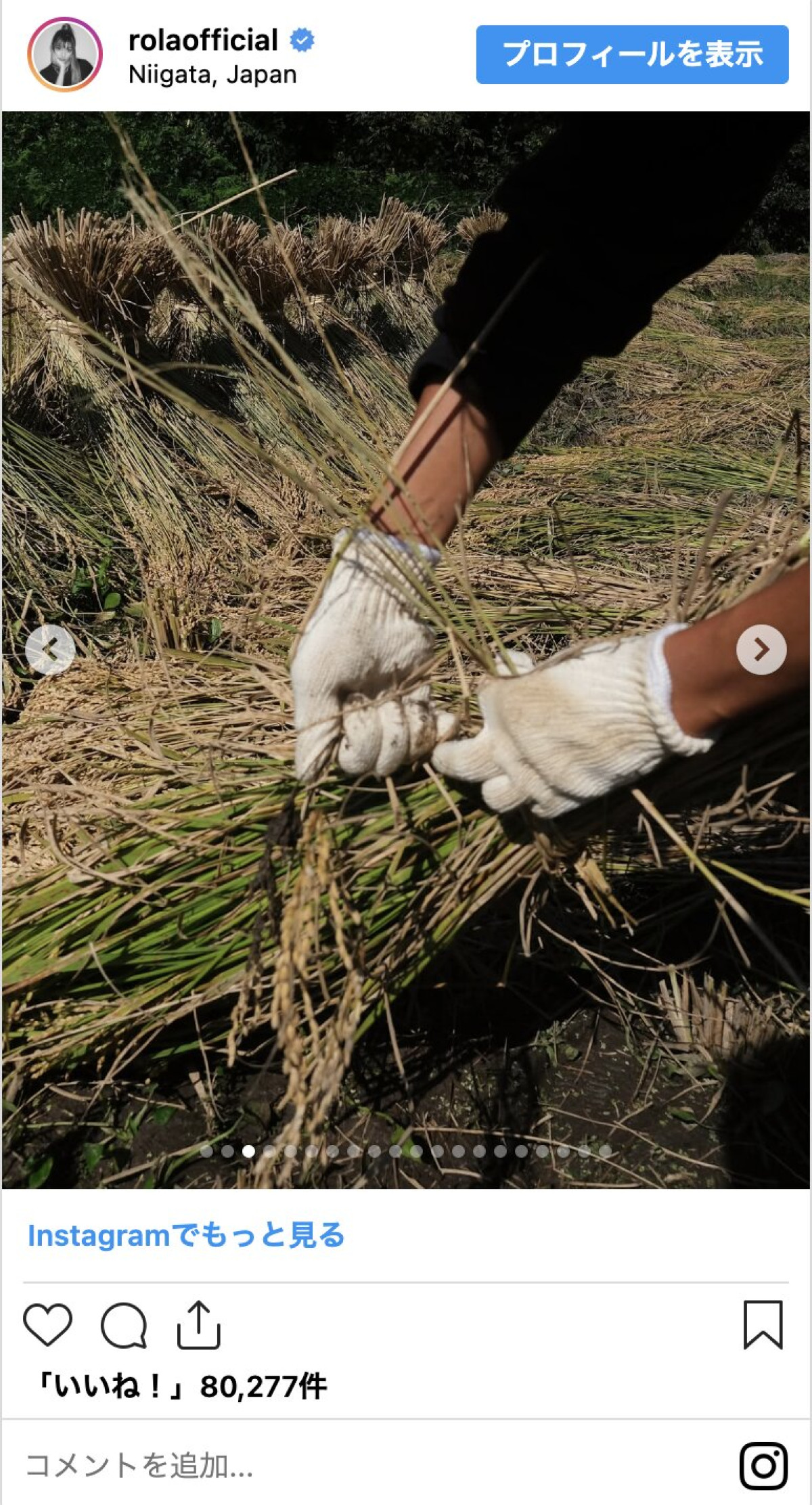 【ローラ誕生日】意外な本名も公表！タイトなドレスから美腹筋あらわな農作業スタイルまでイッキ見