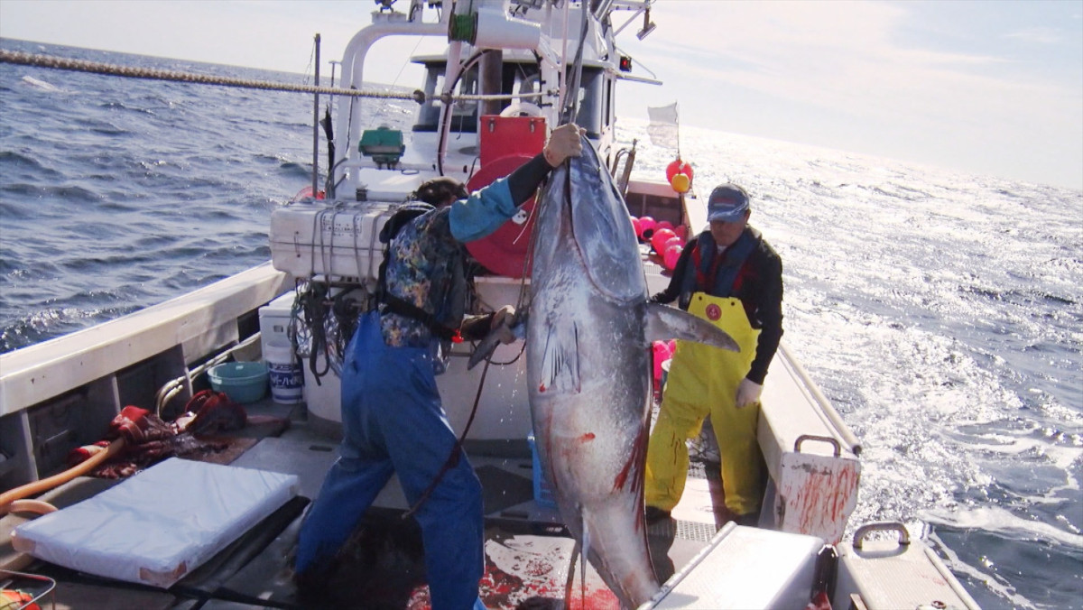 河合優実を新ナレーターに起用『プロフェッショナル仕事の流儀』“20年目の逆襲”再起図る