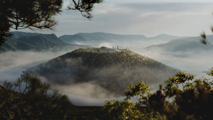 「きのこの山」パッケージに描かれた家が持てる！　バーチャル空間に具現化した「あの家」分譲販売へ
