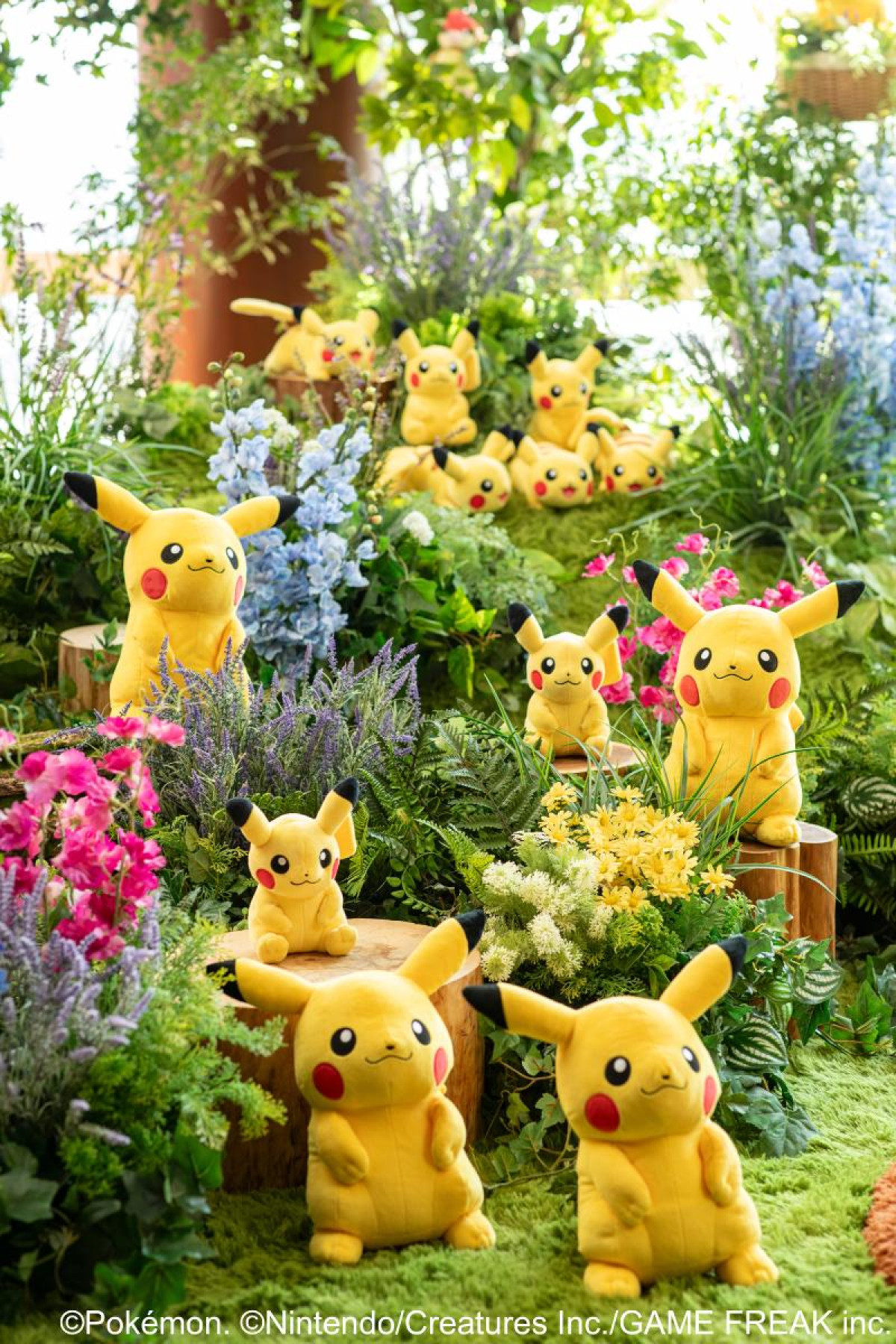 260408「ポケモン30周年コラボレーション グランド アドベンチャー」