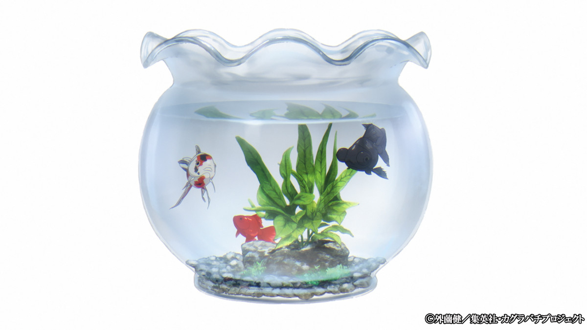 『カグラバチ』Cypic制作でアニメ化＆27年4月放送スタート　六平千鉱役は木村太飛