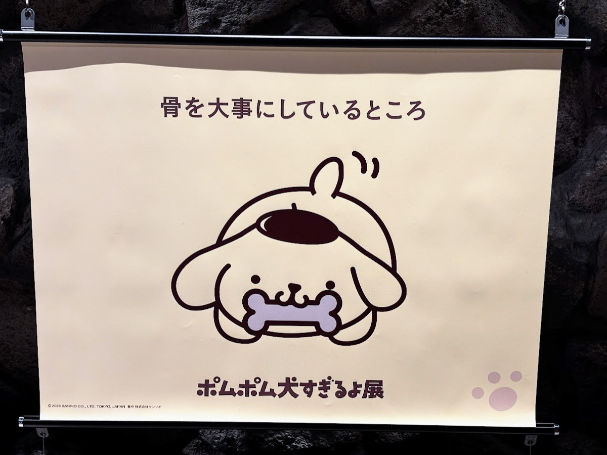 20260412 ポムポムすぎるよ展