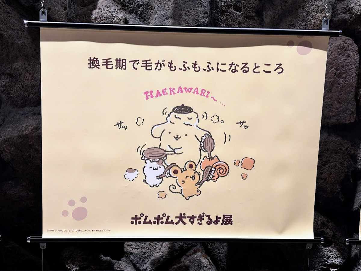 20260412 ポムポムすぎるよ展