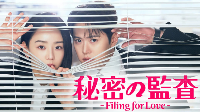 秘密の監査 -Filing for Love-のメインビジュアル