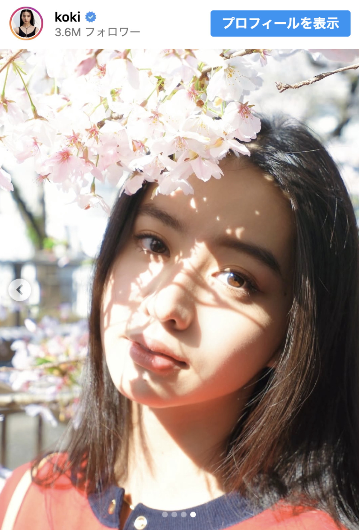 Koki，この一瞬が美しすぎる　桜とともに切り取った“奇跡の横顔”