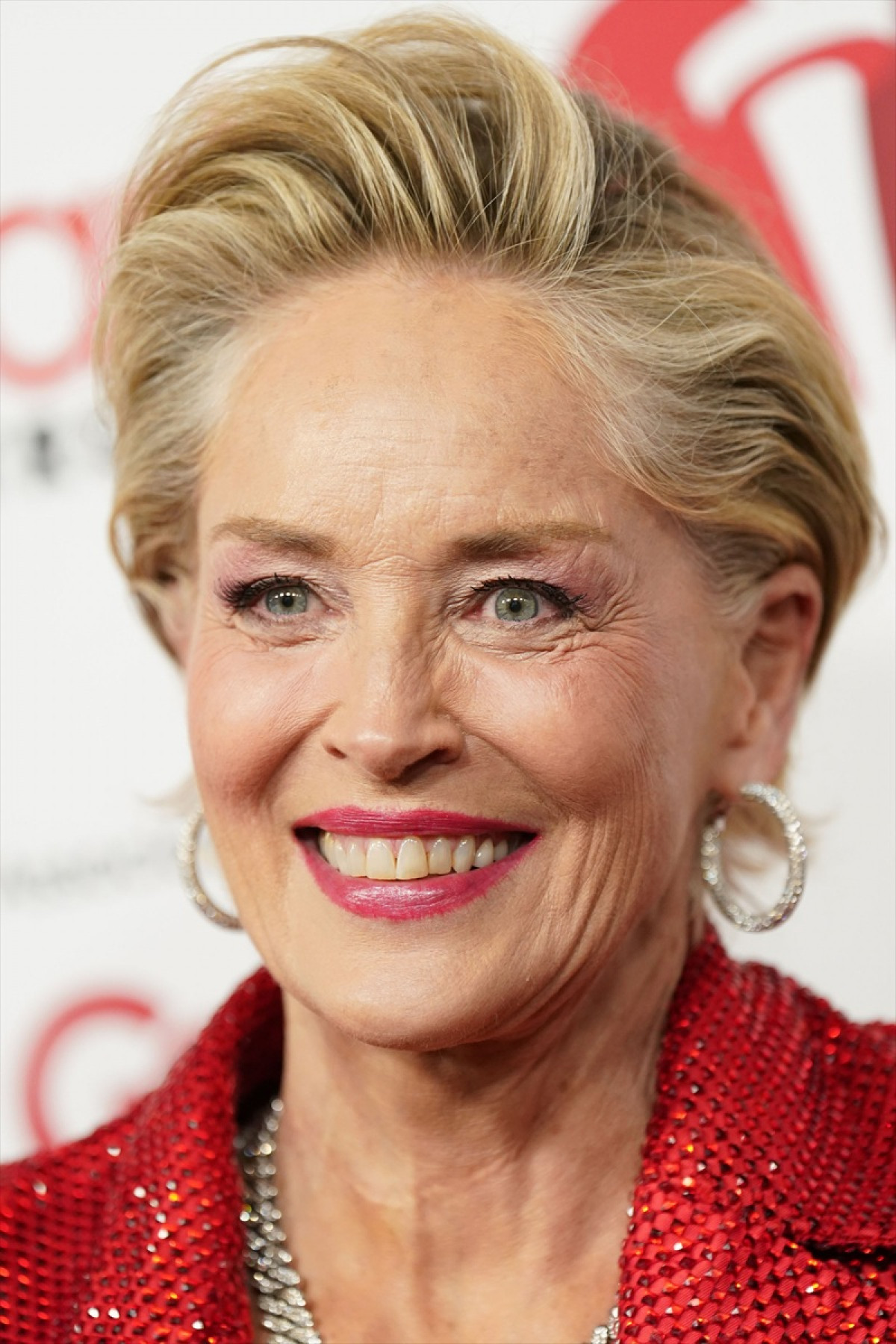 変わらなさすぎ!?　『氷の微笑』シャロン・ストーン（68）の最新姿に整形を疑う声