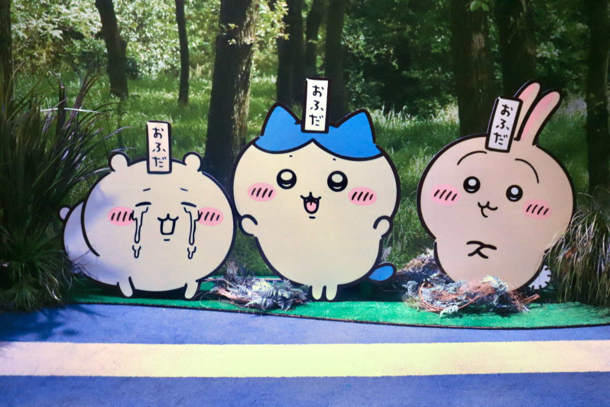 20260724_お台場ファンライジング