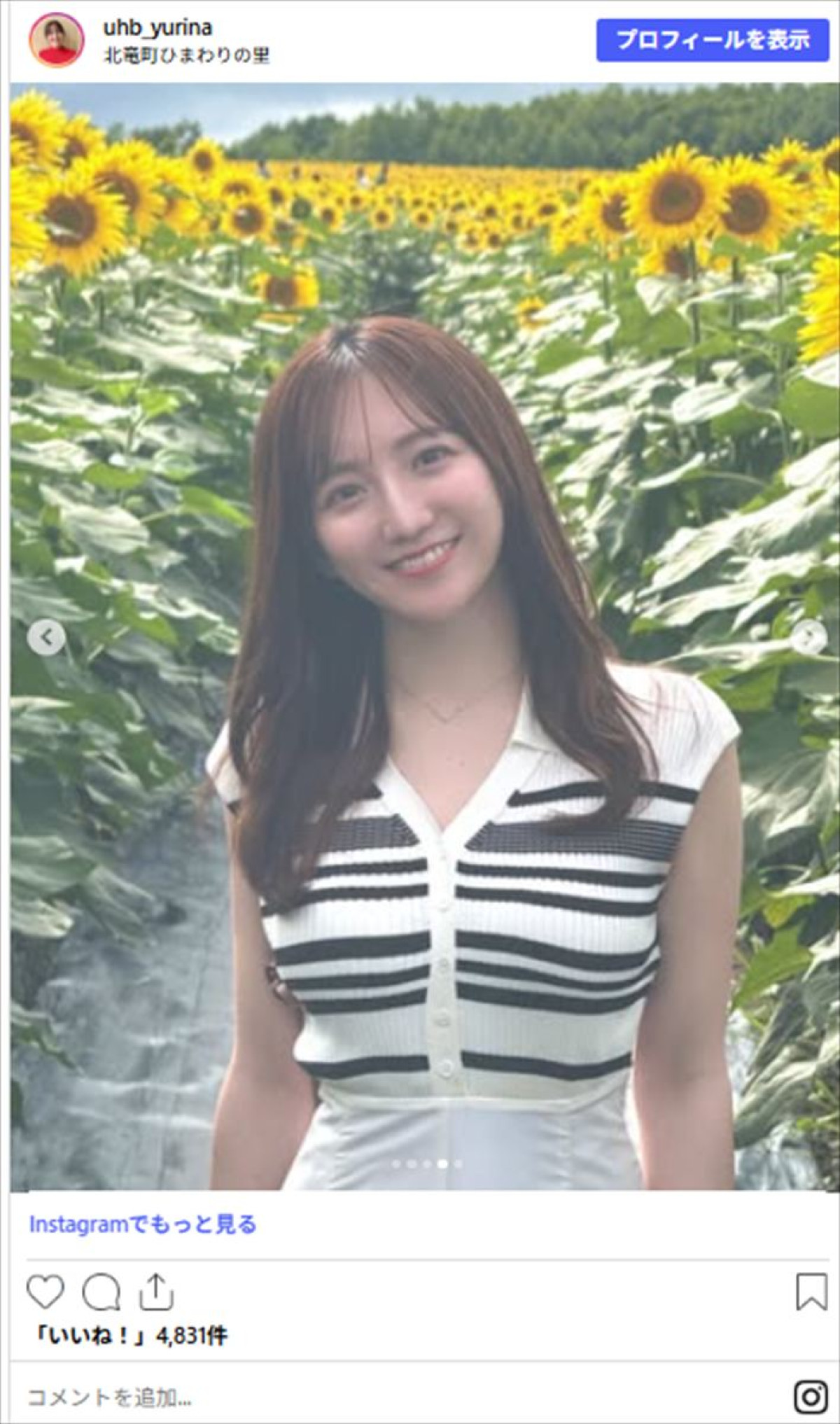 父親は元プロ野球選手・北海道の美人アナ26歳、癒ししかない“ひまわり”ショットに反響