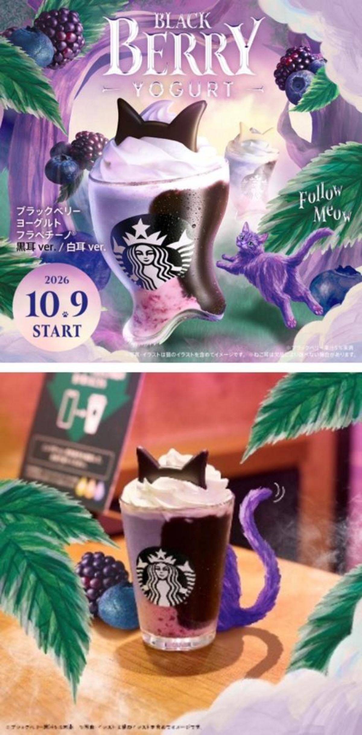 261007「Halloween purple cat in mystery forest」