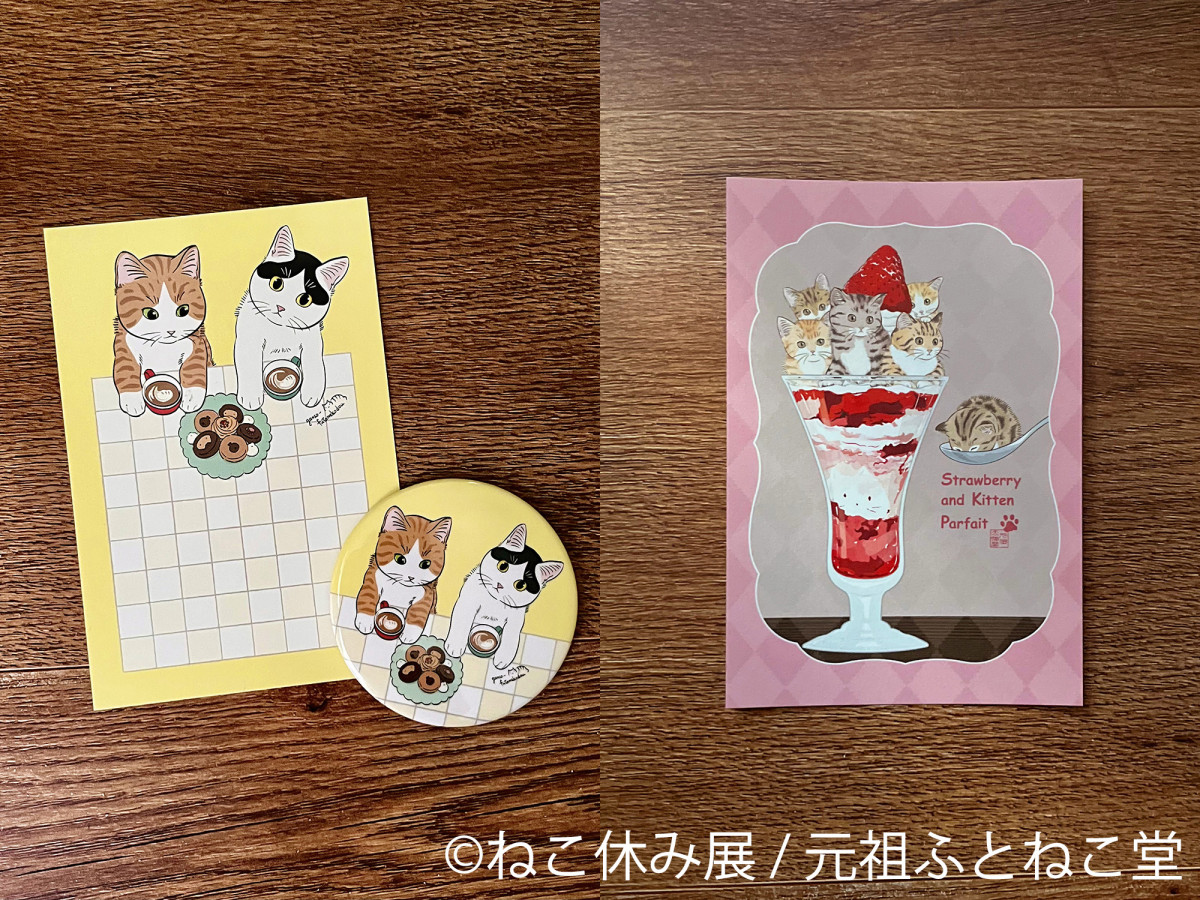 2026.1.17ねこ休み展