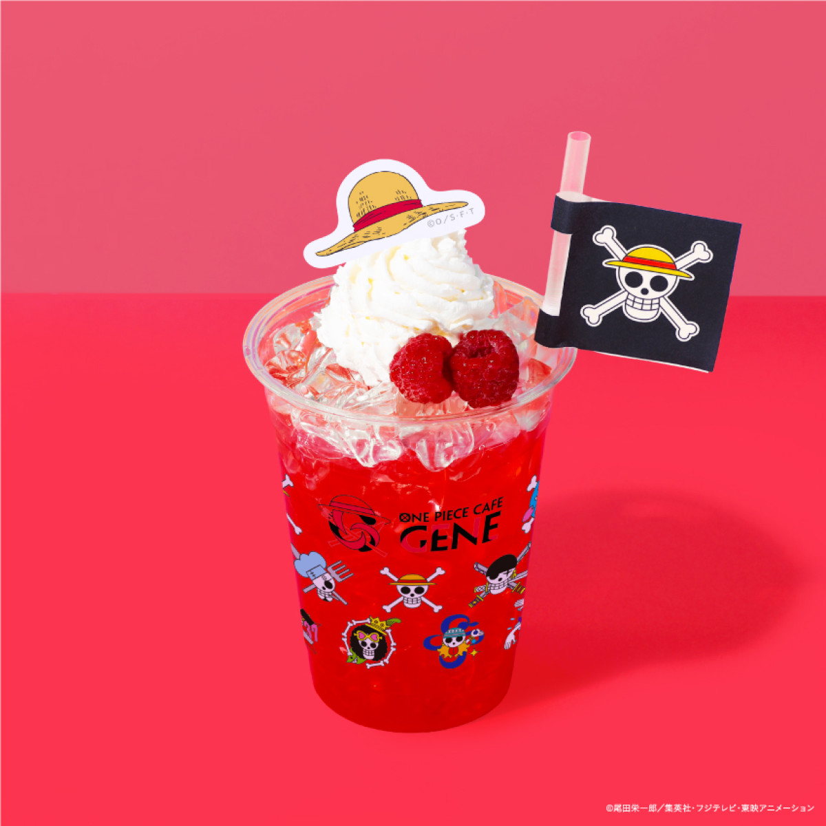 20260116 ONE PIECE CAFE GENE