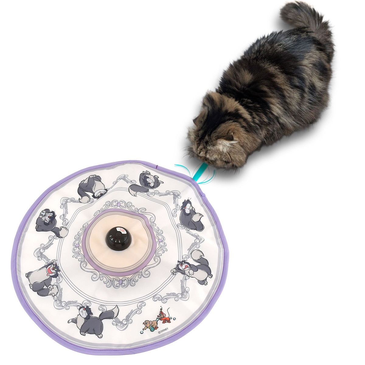 260201_ディズニーストア「猫の日」