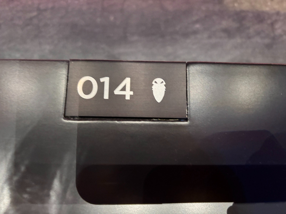 20260126 ポケパーク