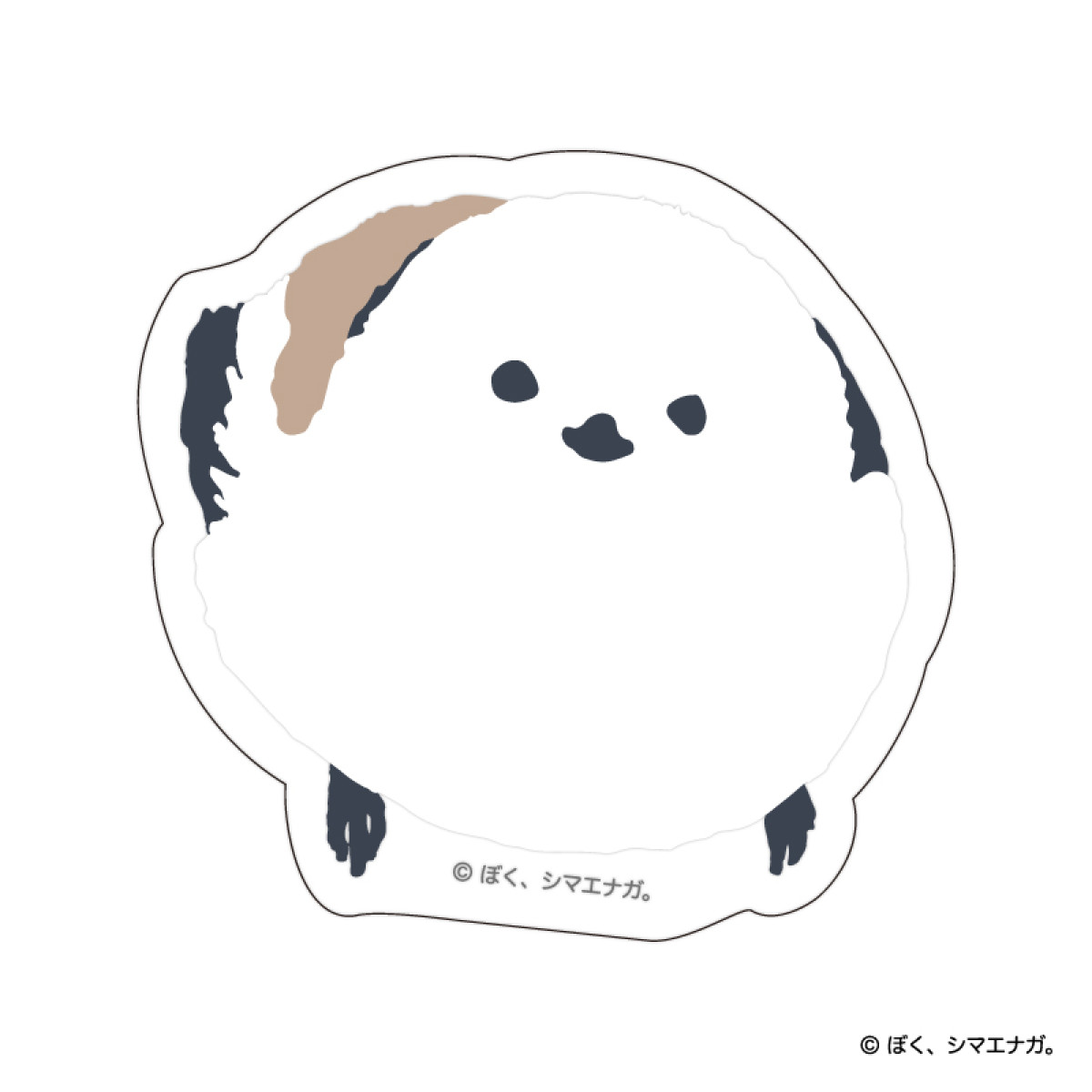 20260116 郵便局「ぼく、シマエナガ。」