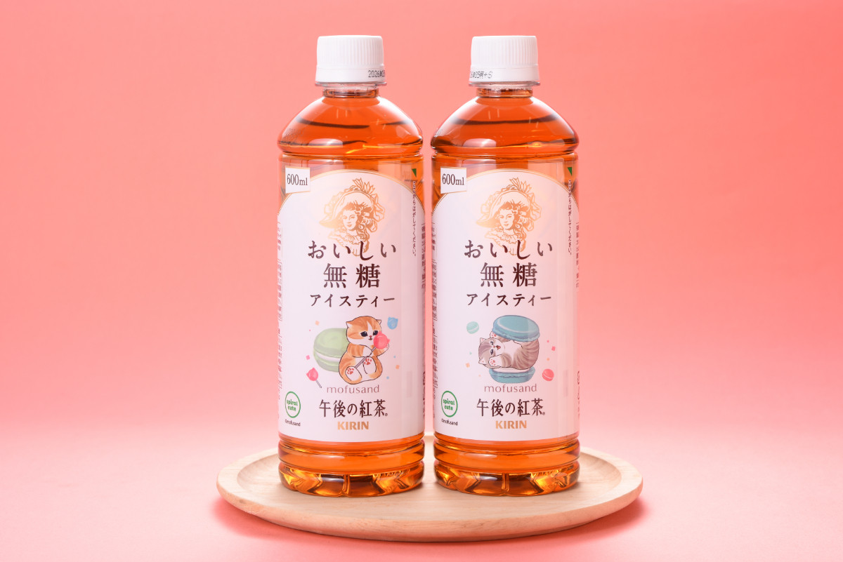 20260204 ファミリ～にゃ～ト大作戦！