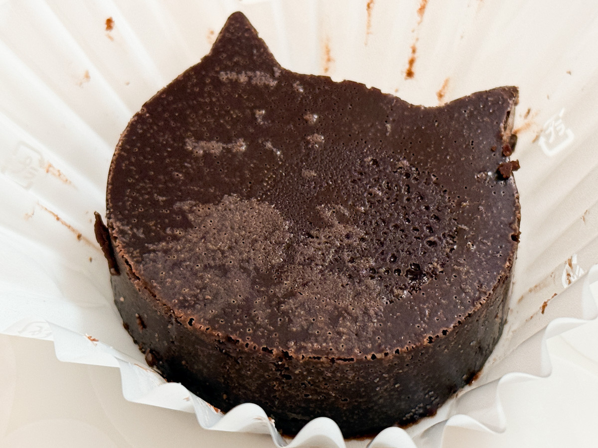 20260209 ファミリ～にゃ～ト大作戦！