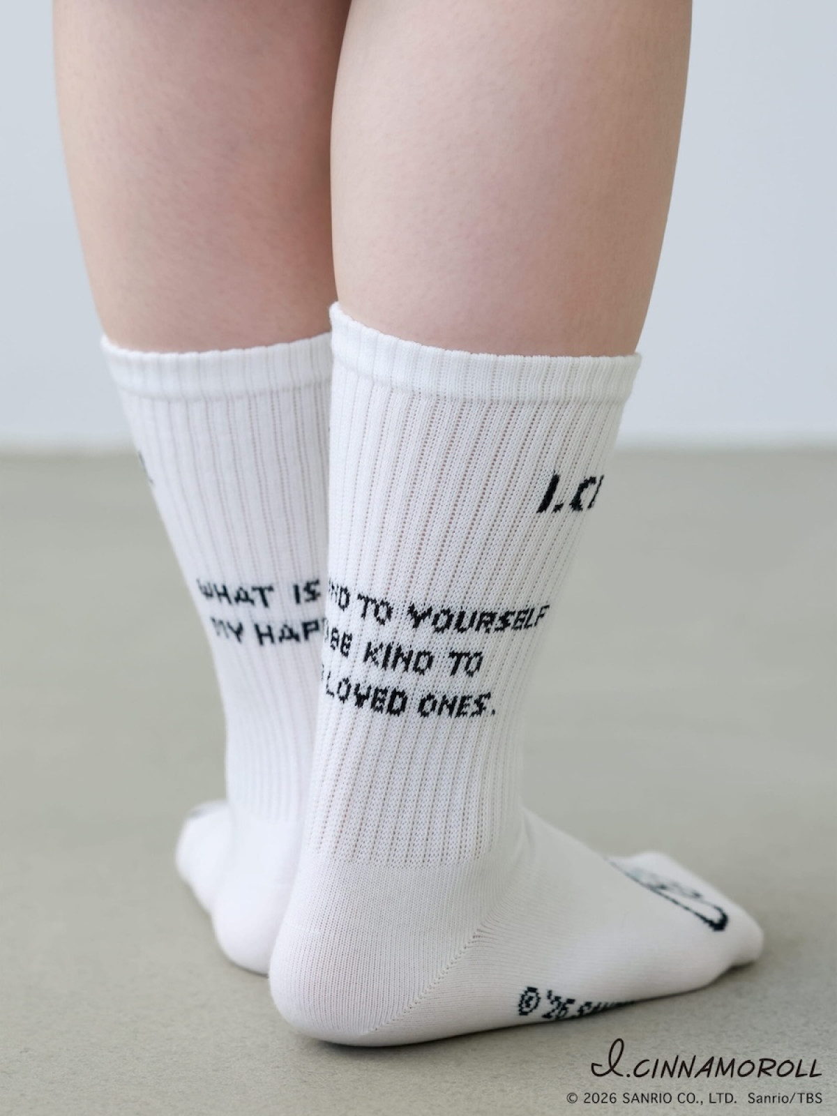 260216_アイシナモロール