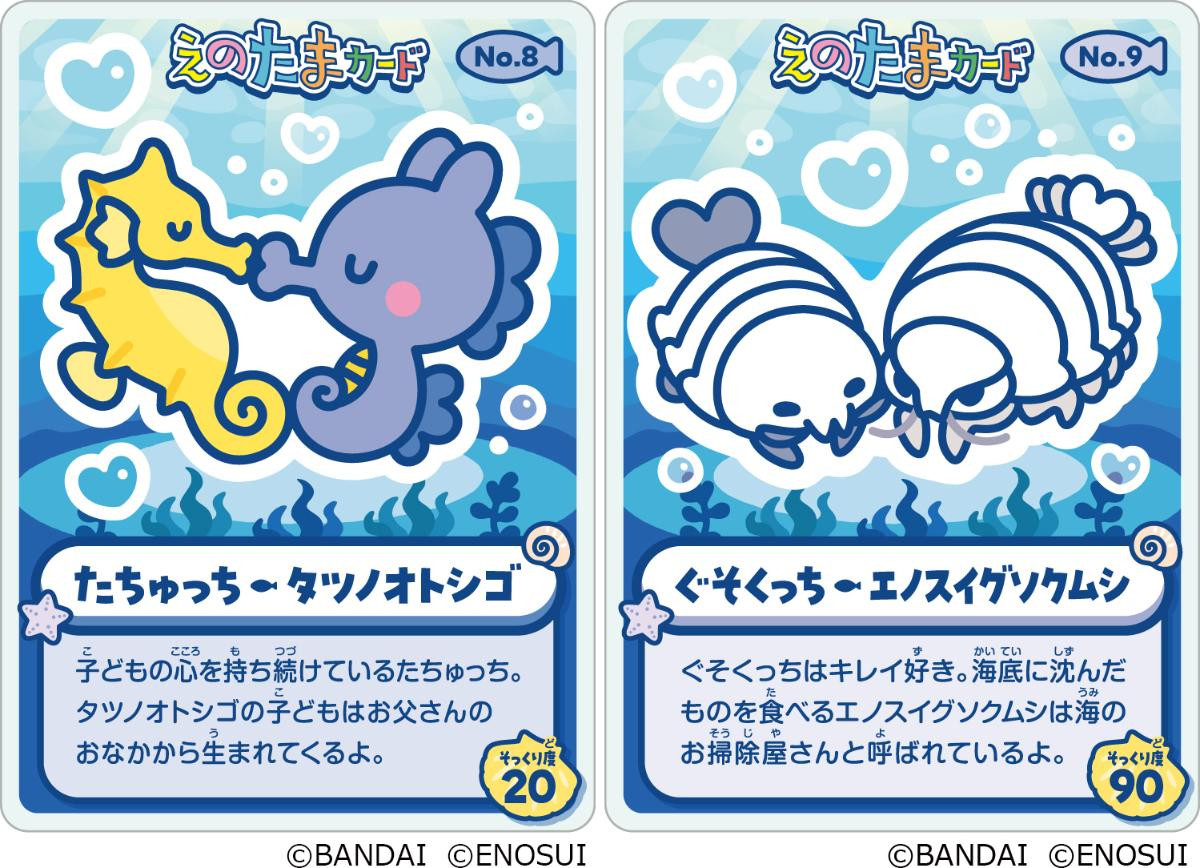 260226「えのすいで発見!!　たまごっちと海のなかまたち！」