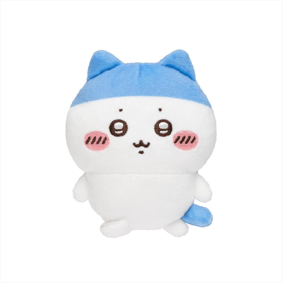 20260217_ハチワレだらけくじ