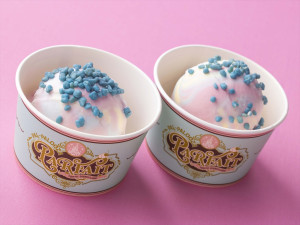 20260205_ヴァネパルフード