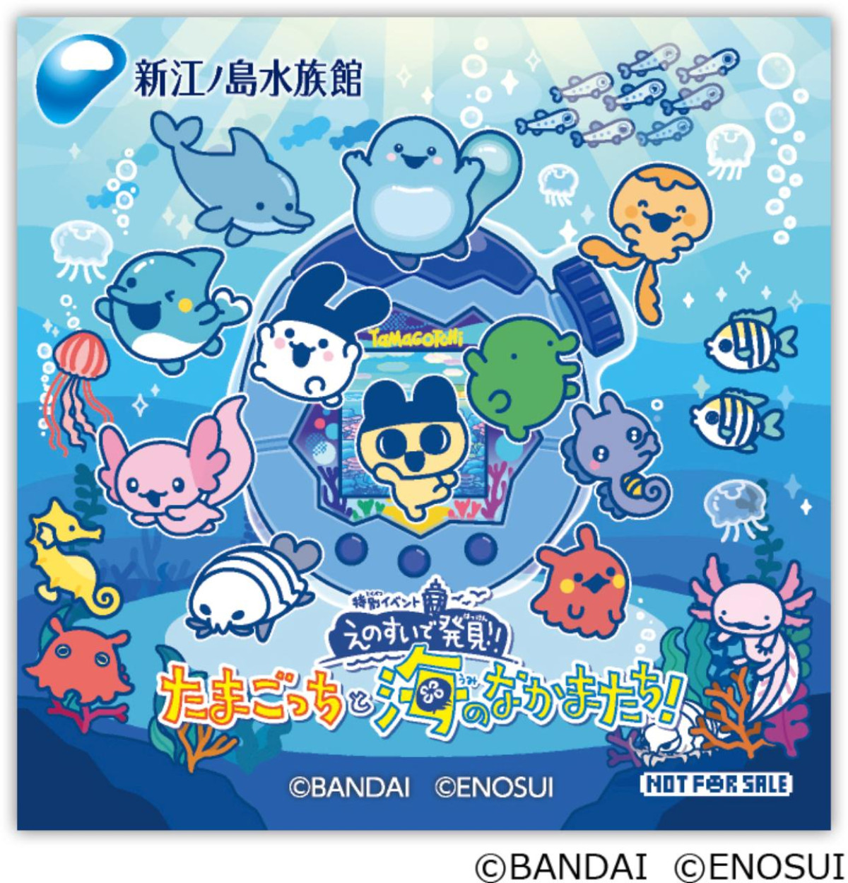 260226「えのすいで発見!!　たまごっちと海のなかまたち！」