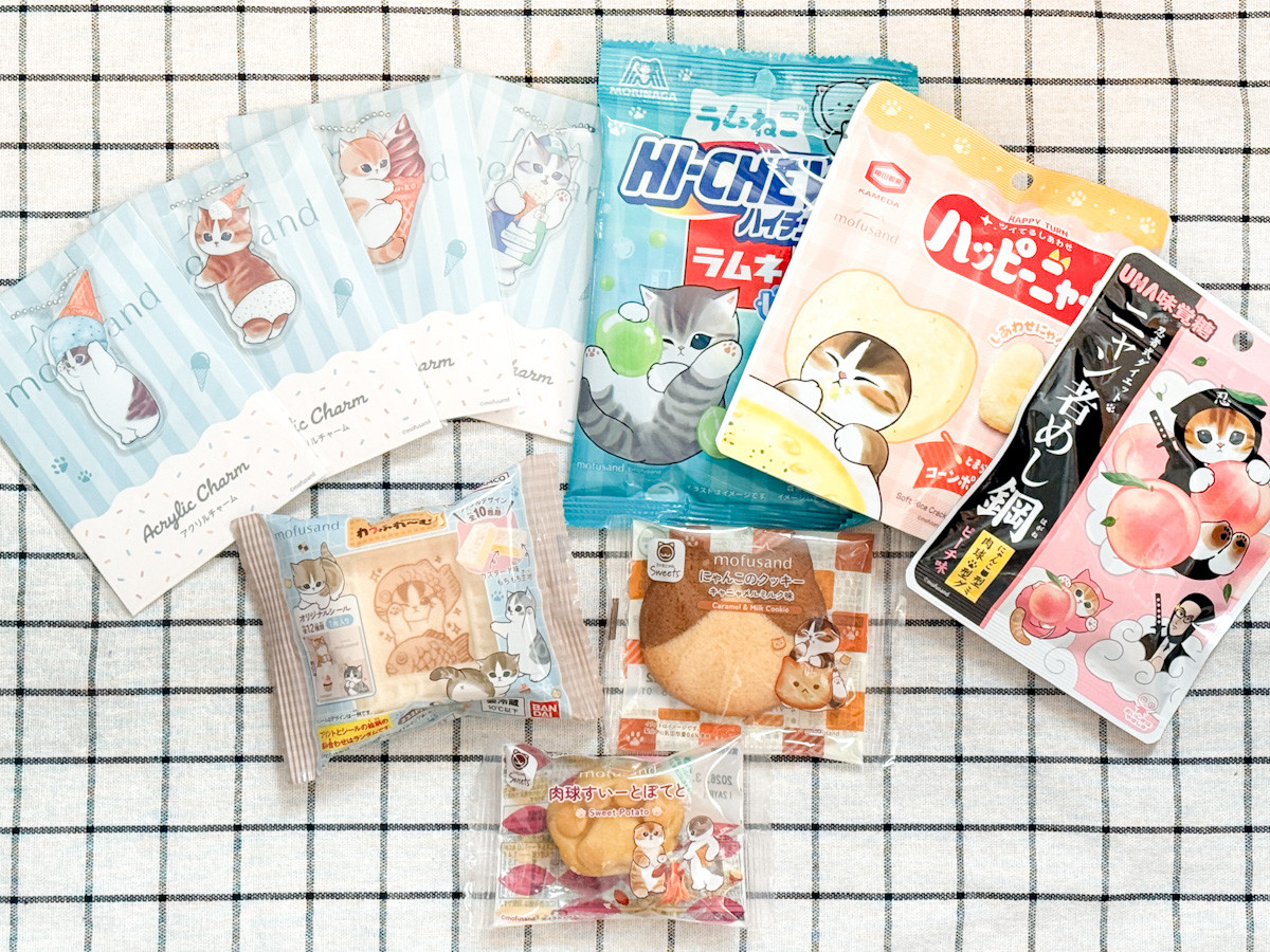 20260209 ファミリ～にゃ～ト大作戦！