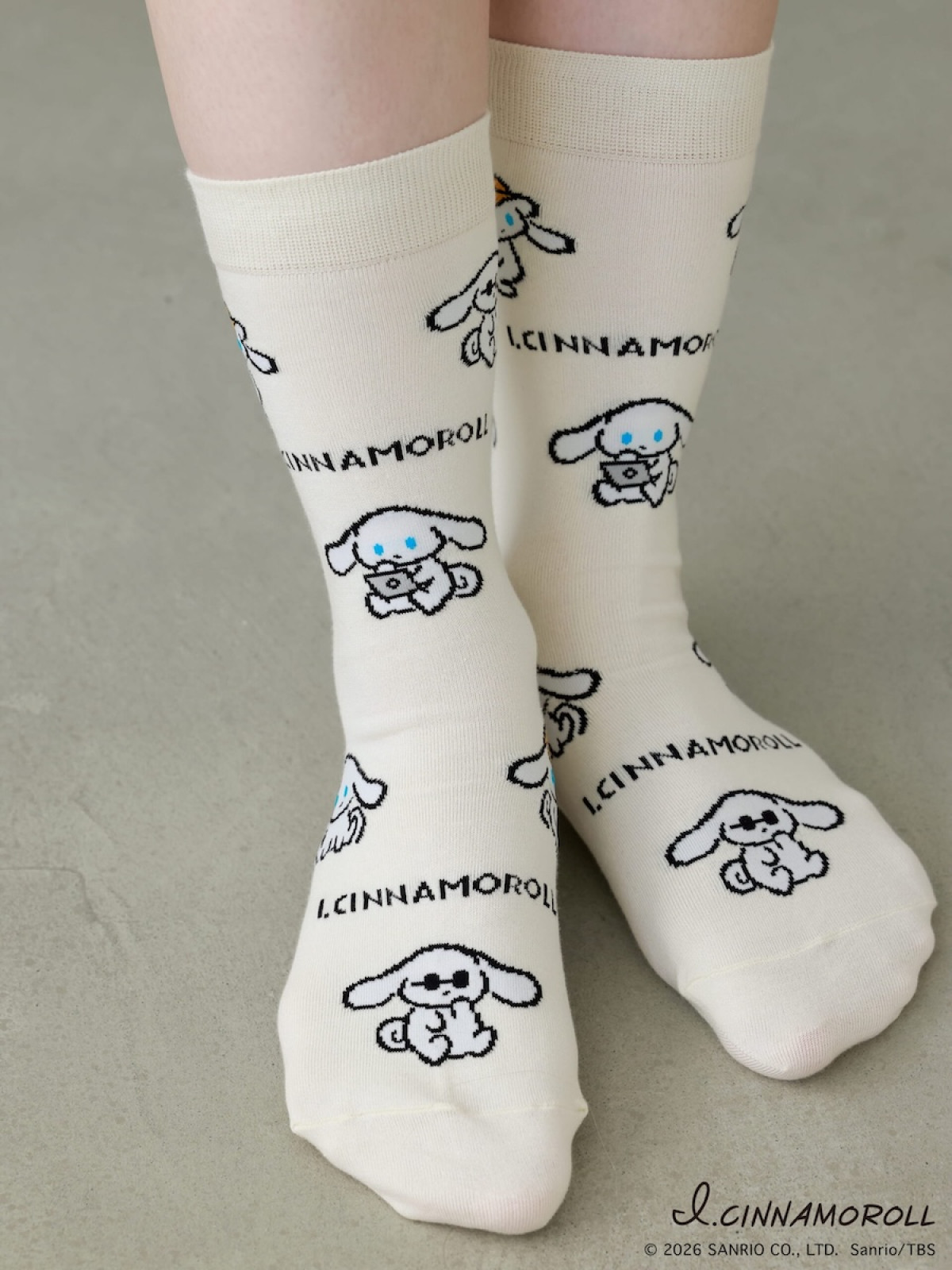 260216_アイシナモロール