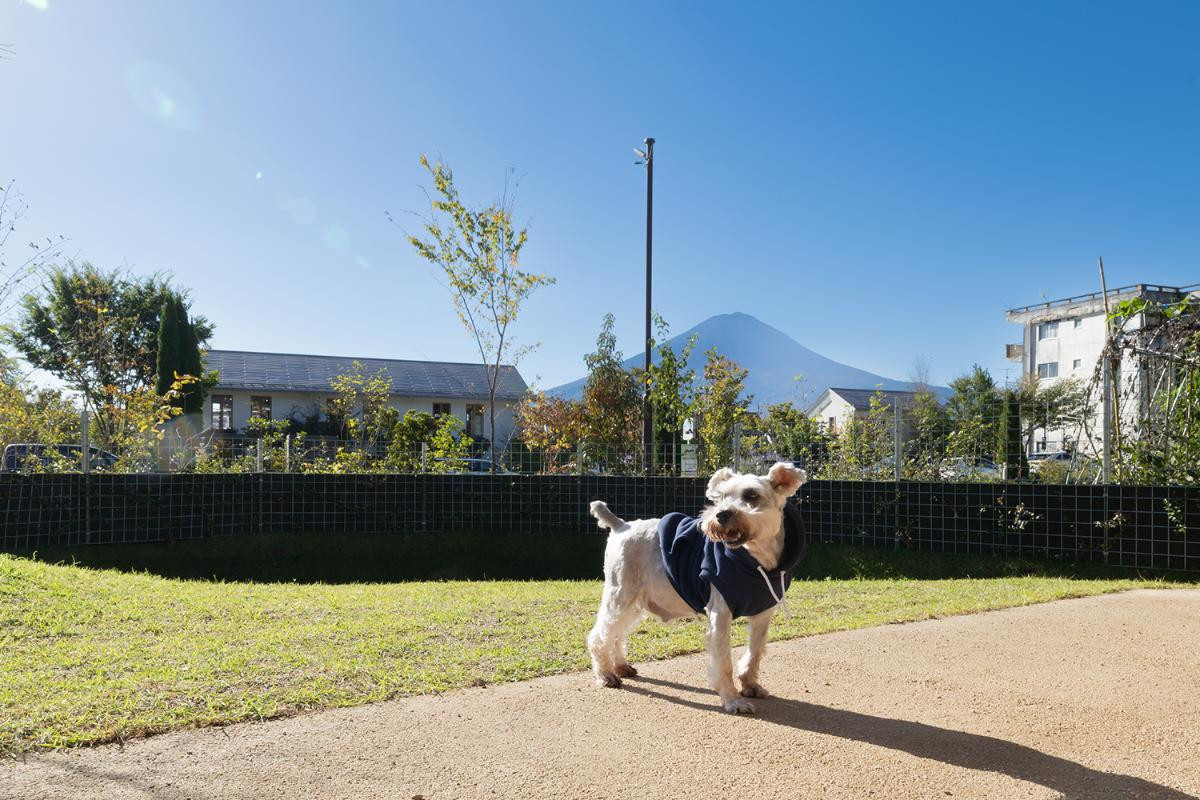 260220「ICHI 縁」