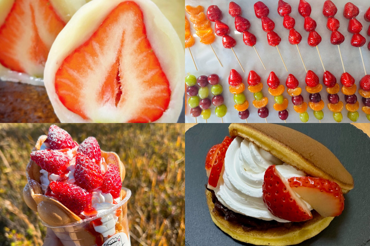 2026.3.11ODAIBA いちごフェス