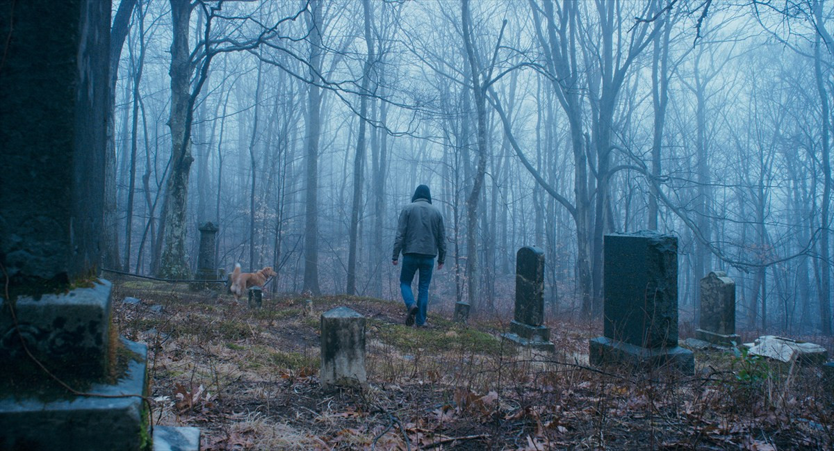 『グッド・ボーイ』犬のインディだけに見える“邪悪な何か”とは――特報＆場面写真一挙解禁